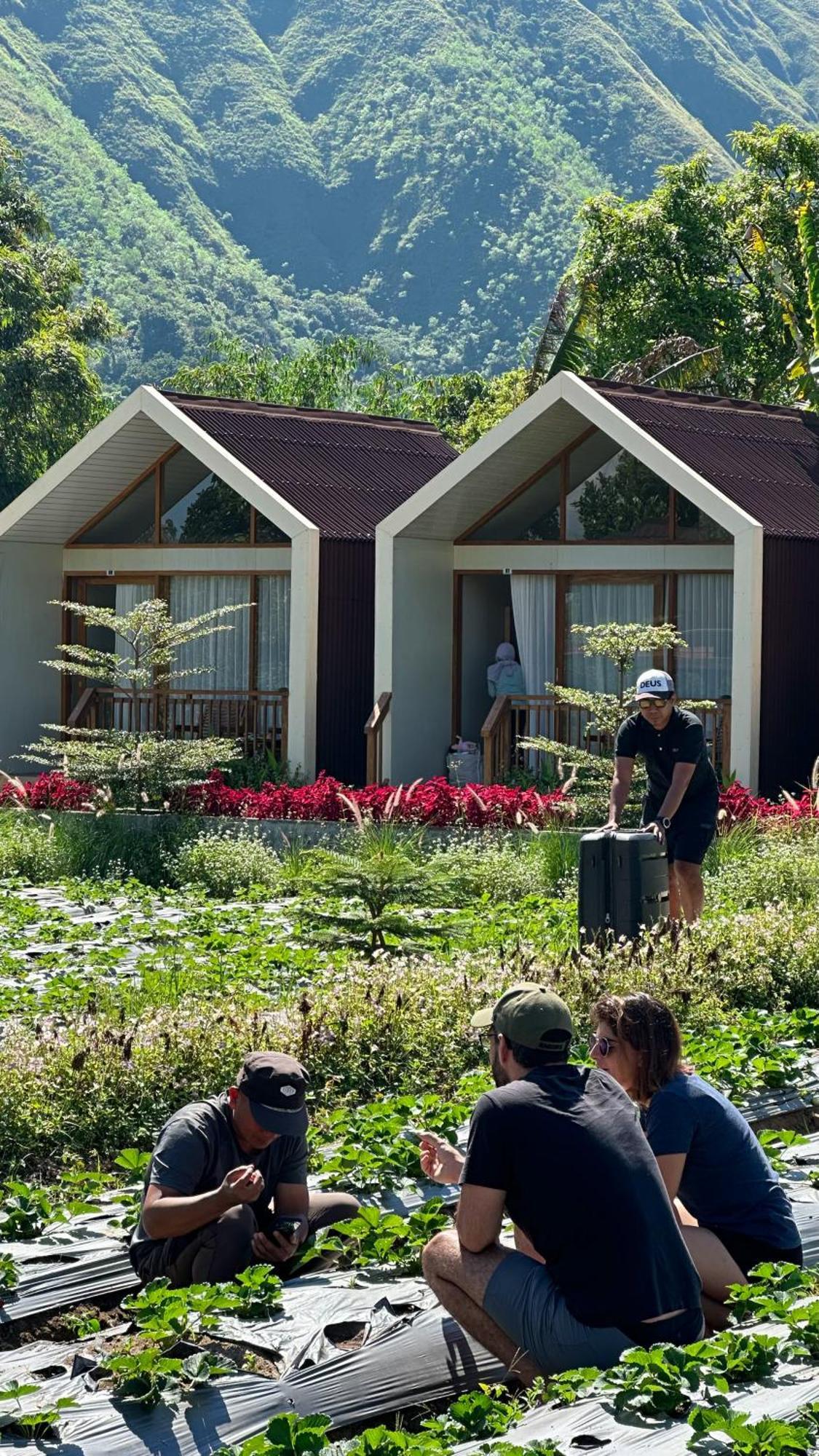 Ferienwohnung Rautani Sembalun Sembalunlawang Exterior foto